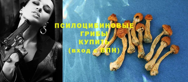 а пвп мука Дмитров