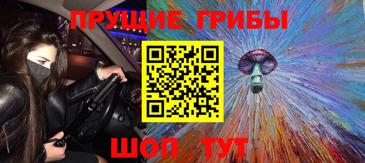 Псилоцибиновые грибы Psilocybine cubensis Волхов