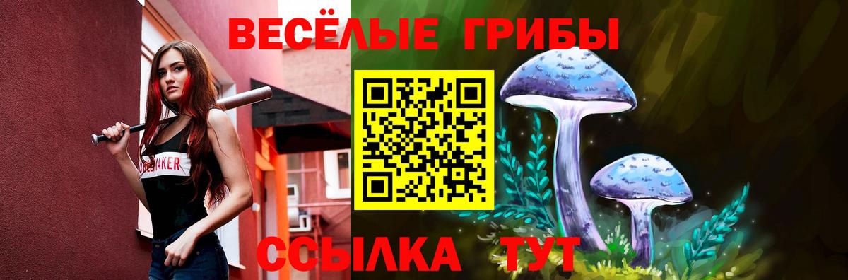 Волхов  Галлюциногенные грибы Psilocybe  Вход с VPN 