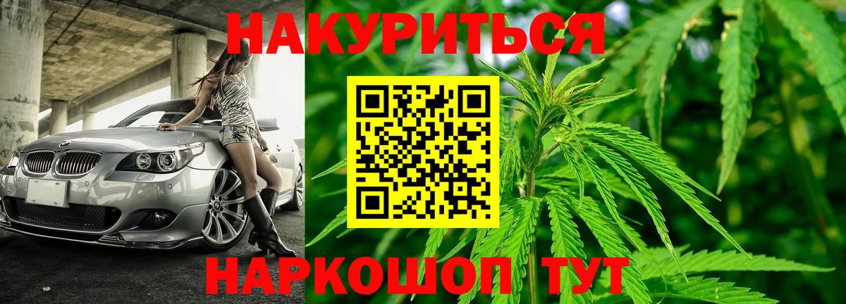 Волхов  Шишки марихуана планчик  Конопля индика  Вход с VPN 